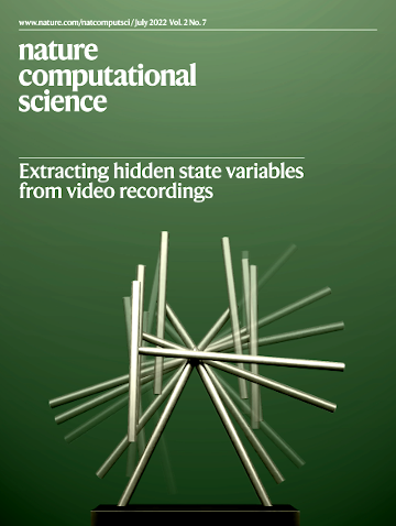 Nat Comp Sci Cover